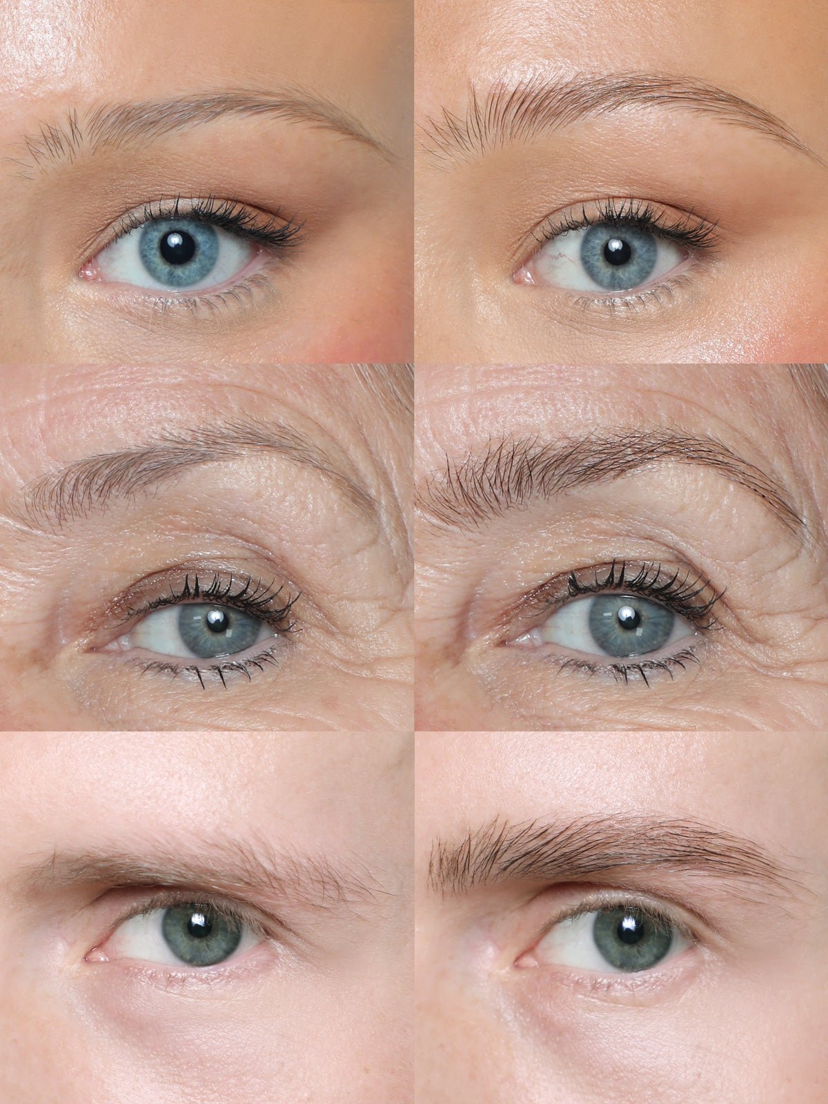 Perfection Brows™ + Applicateur Offert !